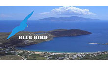 Rent a Car Blue Bird